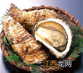 生蚝菜是什么样子