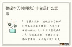 菩提本无树明镜亦非台是什么意思