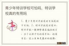 青少年特训学校可怕吗，特训学校真的有用吗