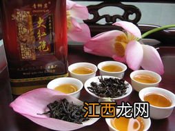 大红袍茶怎么冲泡