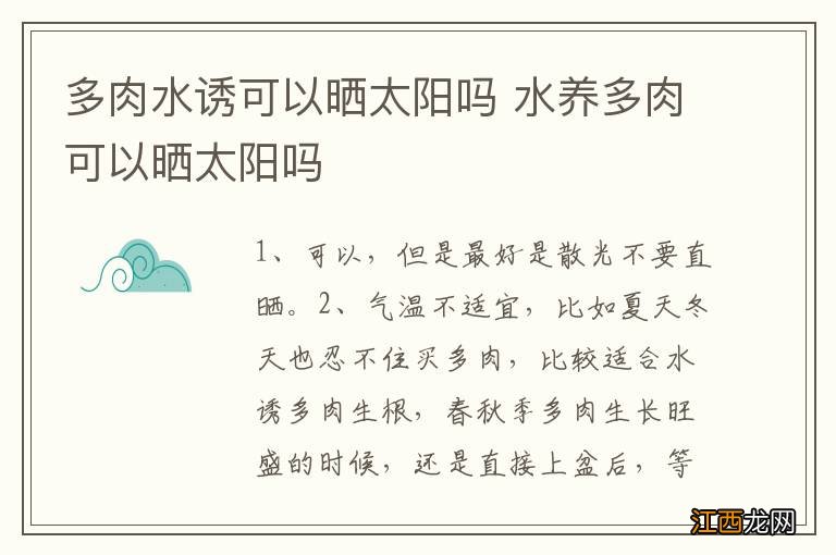 多肉水诱可以晒太阳吗 水养多肉可以晒太阳吗