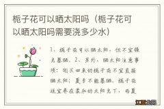 栀子花可以晒太阳吗需要浇多少水 栀子花可以晒太阳吗