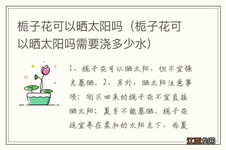 栀子花可以晒太阳吗需要浇多少水 栀子花可以晒太阳吗