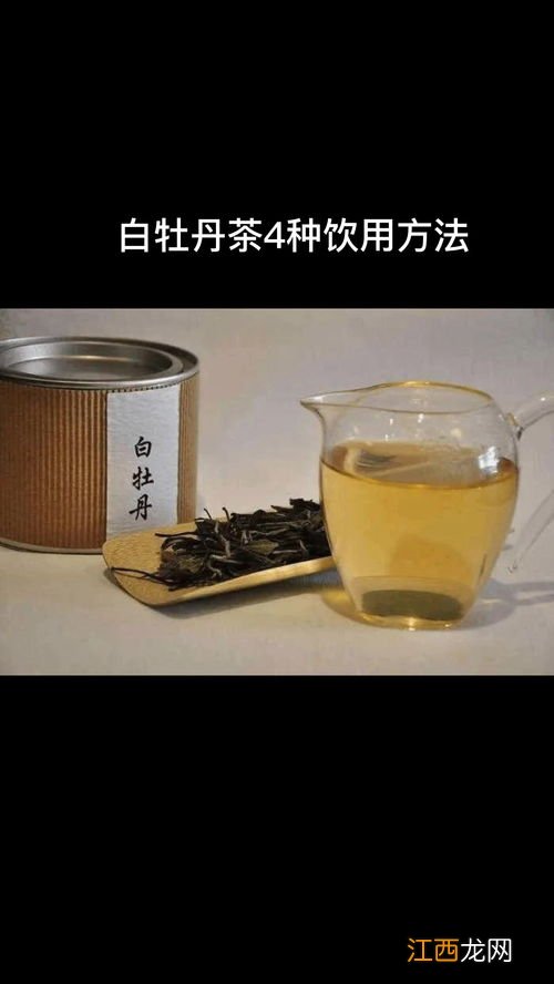 白牡丹怎么冲泡