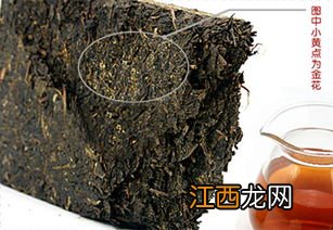 黑茶金花怎么长出的