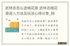 武林志怎么进桃花源 武林志桃花源进入方法及玩法心得分享_网