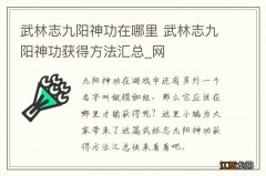 武林志九阳神功在哪里 武林志九阳神功获得方法汇总_网