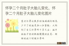 怀孕二个月肚子大胎儿变化，怀孕二个月肚子大胎儿变化图片