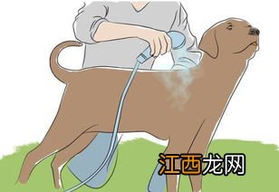 洗澡掉毛怎么回事 看看什么原因