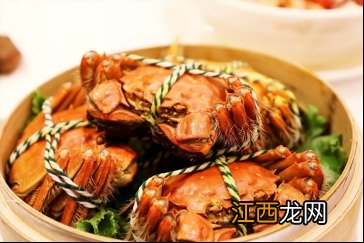 蟹肉煲用的是什么螃蟹