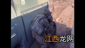 你赞同喜鹊的做法吗为什么