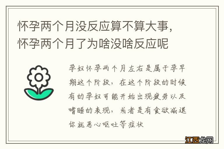 怀孕两个月没反应算不算大事,怀孕两个月了为啥没啥反应呢