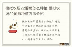 模拟农场22葡萄怎么种植 模拟农场22葡萄种植方法介绍