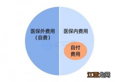 手机上买的保险当地保险公司报销吗？