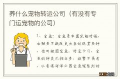 有没有专门运宠物的公司 养什么宠物转运公司