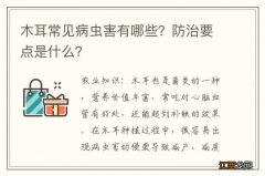 木耳常见病虫害有哪些？防治要点是什么？