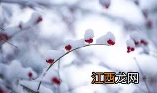 梦见堆雪是什么征兆 梦见堆雪是什么预兆