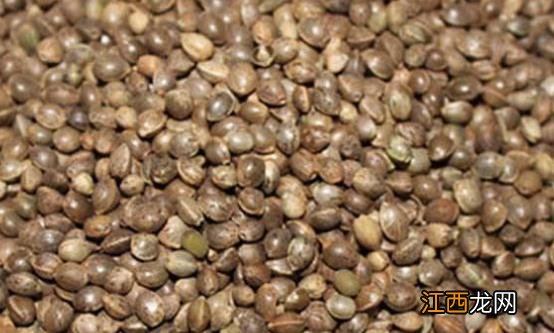 血液垃圾带来危害 多吃9类食物有效清理血液垃圾