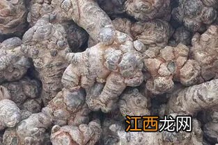 匈牙利十大特产 各大特产的相关简介