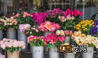 家里种花风水禁忌 家里养花风水禁忌