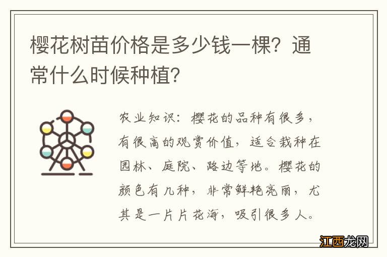 樱花树苗价格是多少钱一棵？通常什么时候种植？