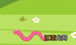 蚯蚓家庭养殖注意事项 蚯蚓养殖需要注意什么