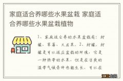 家庭适合养哪些水果盆栽 家庭适合养哪些水果盆栽植物