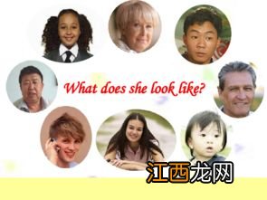 look like后面加什么