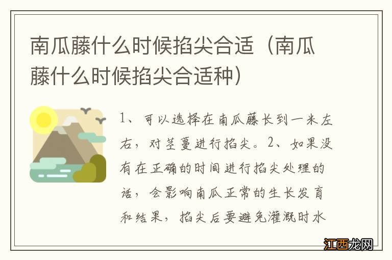 南瓜藤什么时候掐尖合适种 南瓜藤什么时候掐尖合适