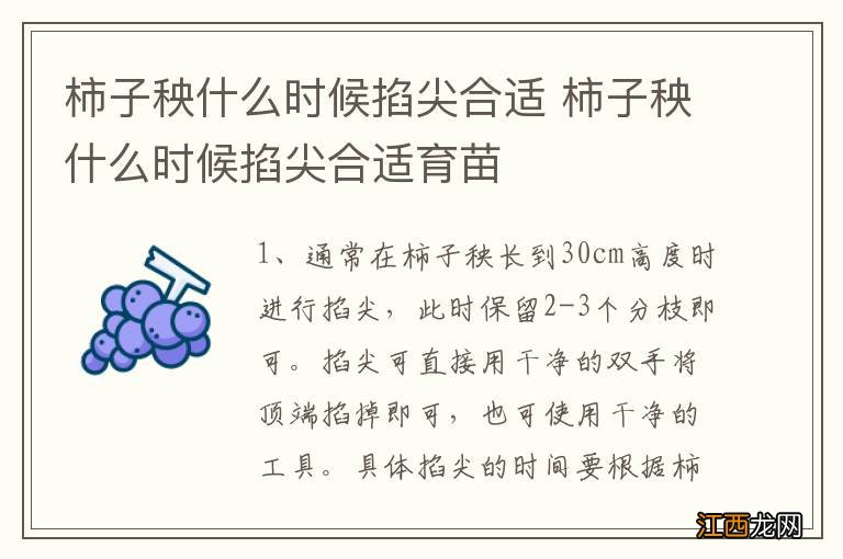 柿子秧什么时候掐尖合适 柿子秧什么时候掐尖合适育苗