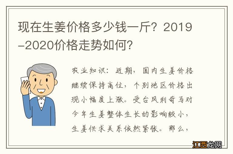 现在生姜价格多少钱一斤？2019-2020价格走势如何？