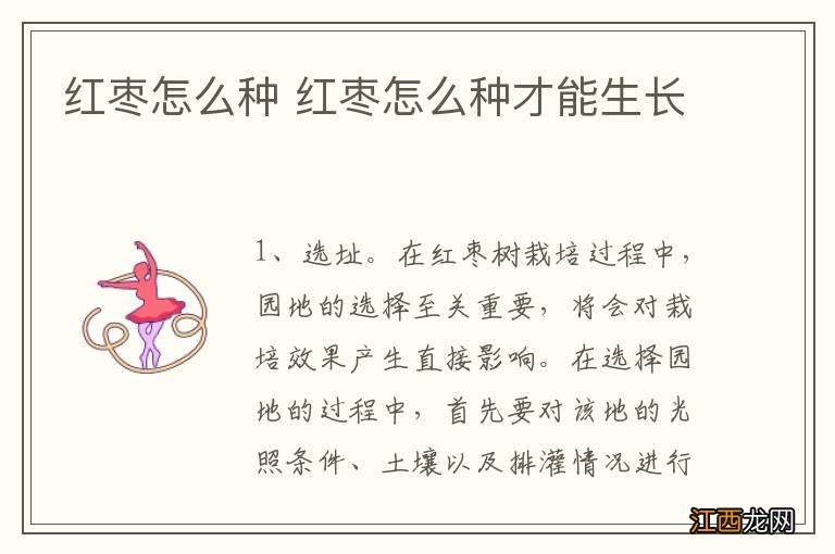 红枣怎么种 红枣怎么种才能生长