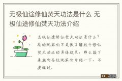 无极仙途修仙焚天功法是什么 无极仙途修仙焚天功法介绍