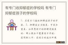 有专门收抑郁症的学校吗 有专门抑郁症孩子的学校吗