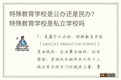 特殊教育学校是公办还是民办? 特殊教育学校是私立学校吗