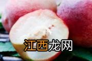 菠萝蜜怎么看熟不熟 菠萝蜜怎么催熟