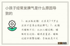 小孩子经常发脾气是什么原因导致的