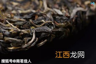 普洱茶长虫了怎么处理