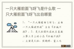 一只大雁前面飞呀飞是什么歌 一只大雁前面飞呀飞出自哪里