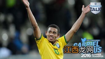 巴西新星罗德里戈资料 以及关于巴西的简介