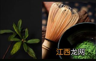 点茶抹茶怎么画