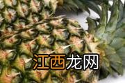 火龙果和香蕉哪个通便更好 哪种火龙果通便效果好