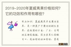 2019-2020年夏威夷果价格如何？它的功效和作用有哪些？