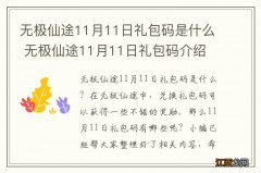 无极仙途11月11日礼包码是什么 无极仙途11月11日礼包码介绍