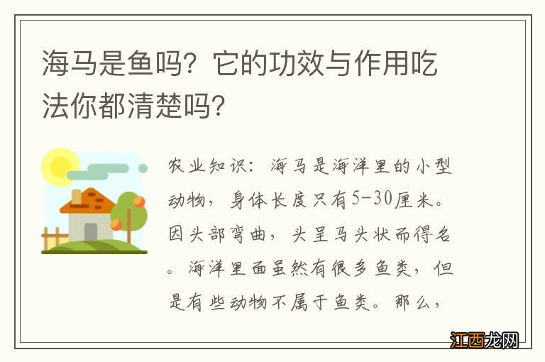 海马是鱼吗？它的功效与作用吃法你都清楚吗？