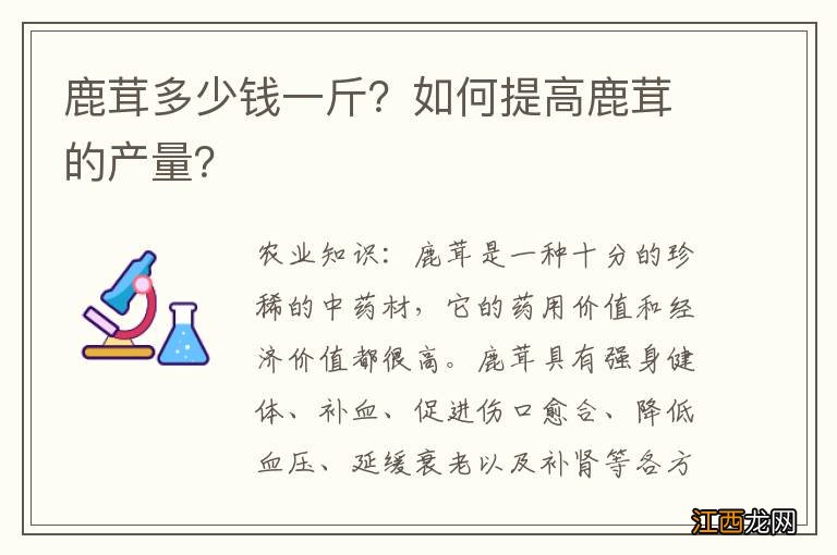 鹿茸多少钱一斤？如何提高鹿茸的产量？