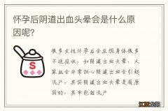 怀孕后阴道出血头晕会是什么原因呢？