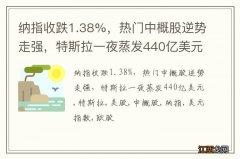 纳指收跌1.38%，热门中概股逆势走强，特斯拉一夜蒸发440亿美元