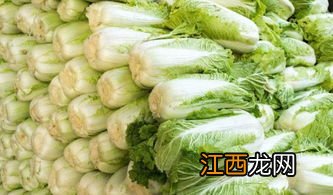 大白菜生长期多少天，用什么肥料长得好