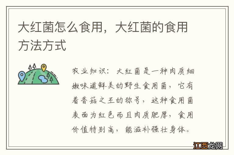 大红菌怎么食用,大红菌的食用方法方式